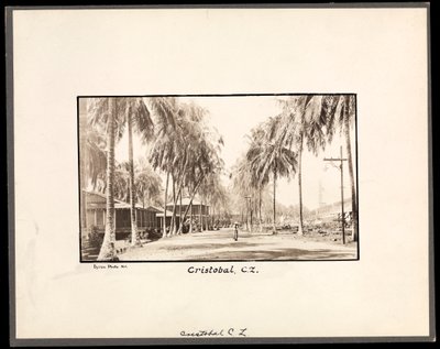 View of a palm tree lined dirt road through Cristobal, Panama, during the construction of the canal, 1912 or 1913 by Byron Company